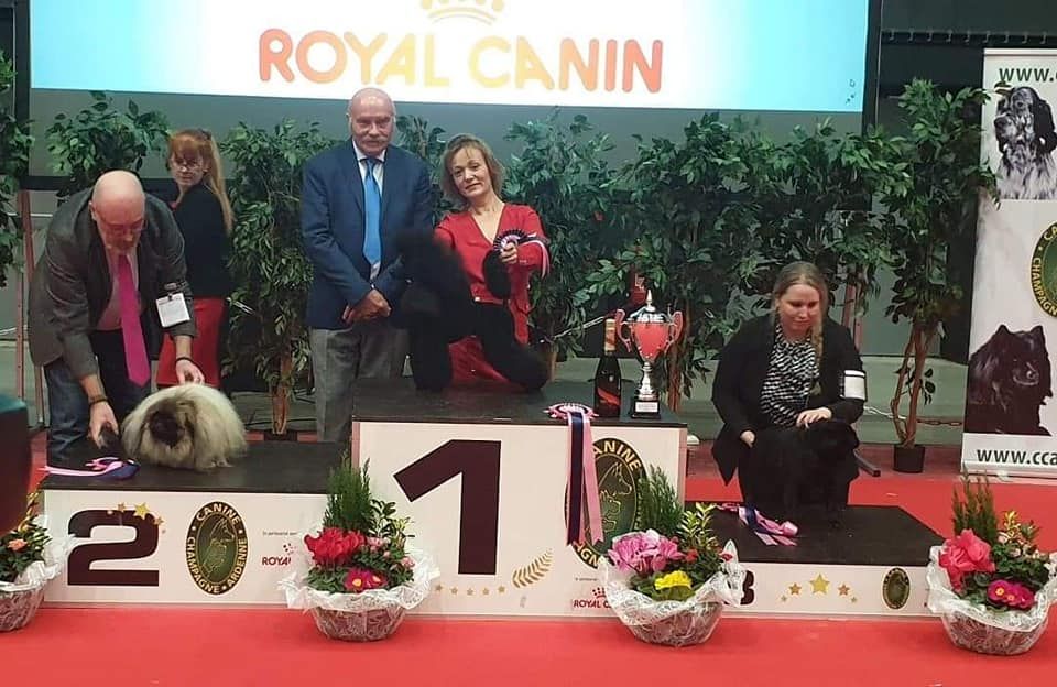 Generation top - International dog show Troyes 2020
