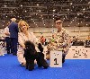  - World Dog Show Geneve Suisse aout 2023