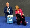  - World Dog Show Zagreb Croatie avril 2024