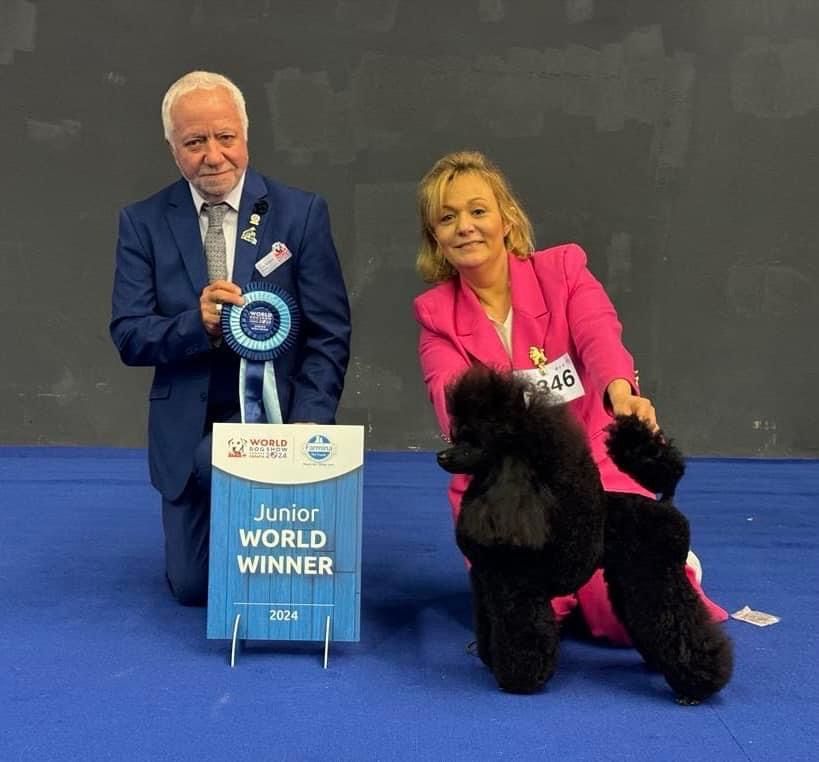 World Dog Show Zagreb Croatie avril 2024